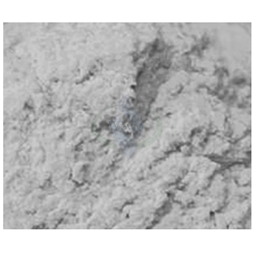 Polymer Solid Electrolytes
