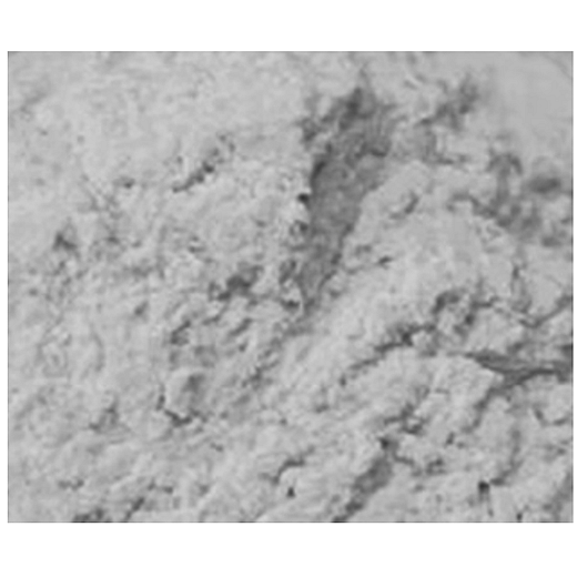 Sulfide Solid Electrolytes